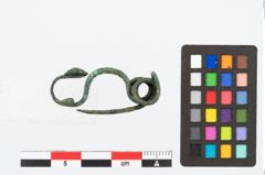 Foto von Bronzemarzabottofibel (NHMW-PRAE-026568)